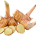 EnXtra® (Alpinia Galanga Extract)