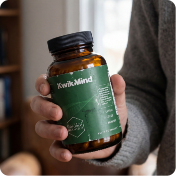 Kwik Mind v2